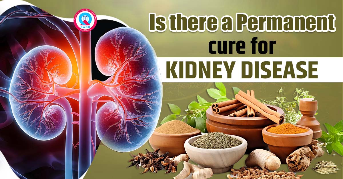 is-there-a-permanent-cure-for-kidney-disease